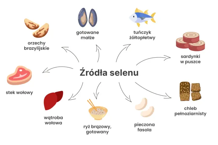 Orzechy brazylijskie, małże, tuńczyk, sardynki, chleb pełnoziarnisty, fasola, ryż, wątroba i wołowina to doskonałe źródła selenu.