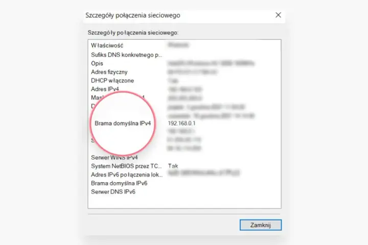 Szczegóły połączenia sieciowego: Brama domyślna IPv4 to adres IP routera 192.168.0.1.
