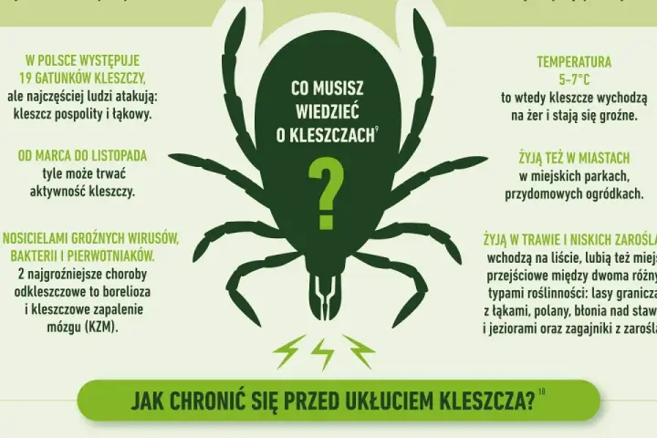 Grafika informuje o kleszczach, ich aktywności i zagrożeniach. Warto rozważyć szczepionkę na kleszcze, by uniknąć chorób.