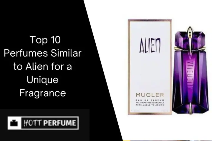 Alien Duftalternativen finden: Die besten Dupes & ähnliche Düfte