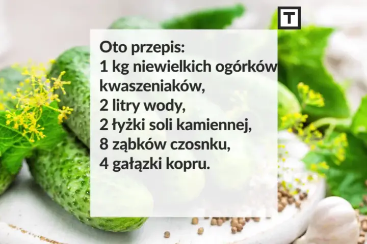 Przepis na kiszone ogórki: 1 kg ogórków, 2 litry wody, sól, czosnek i koper. Idealne do słoików!