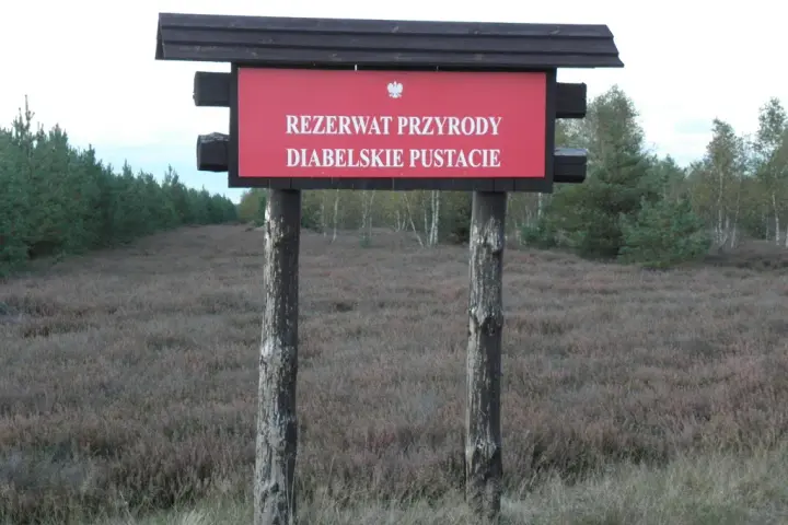 Rezerwat przyrody Diabelskie Pustacie - piękno wrzosowisk i szlaków