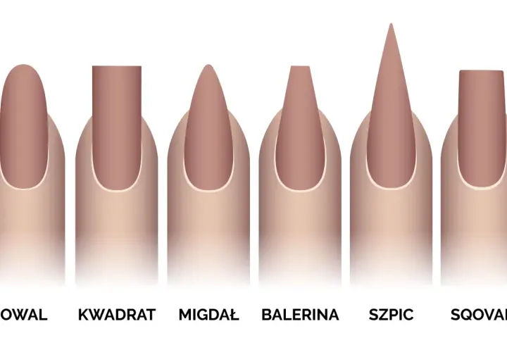 Ilustracja przedstawia sześć kształtów paznokci: owal, kwadrat, migdał, balerina, szpic i sqoval.