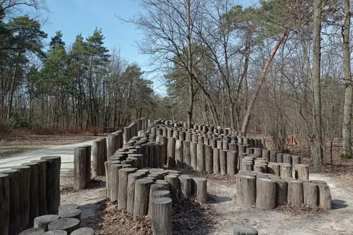 Drewniana instalacja artystyczna w lesie nad rzeką Świdrem. Kręte ścieżki z pni drzew tworzą labirynt.