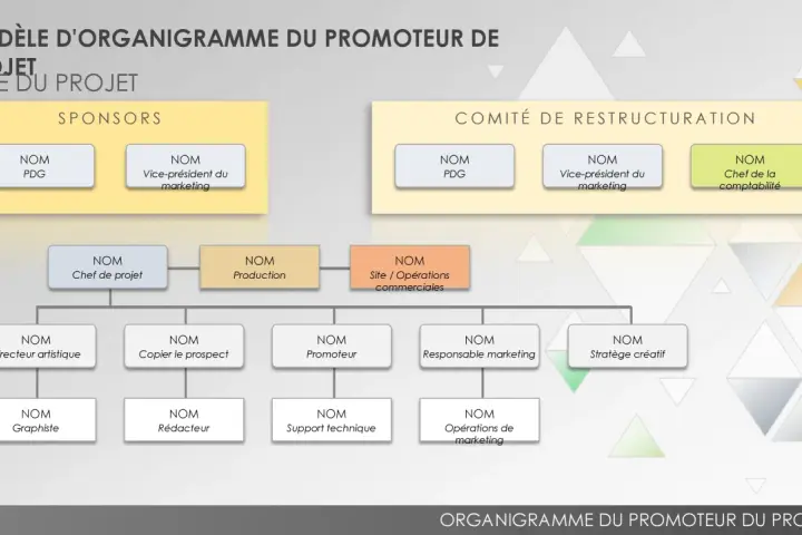 Organigramme du promoteur de projet, montrant les sponsors et le comité de restructuration, avec les rôles clés.