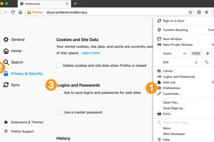 Ustawienia Firefoxa: opcje "Logins and Passwords" i "Preferences" są widoczne. Można tu zarządzać hasłami Google i innymi danymi logowania.
