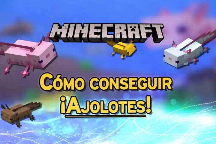 Ajolotes de Minecraft nadando. El texto dice "Cómo conseguir ¡Ajolotes!".