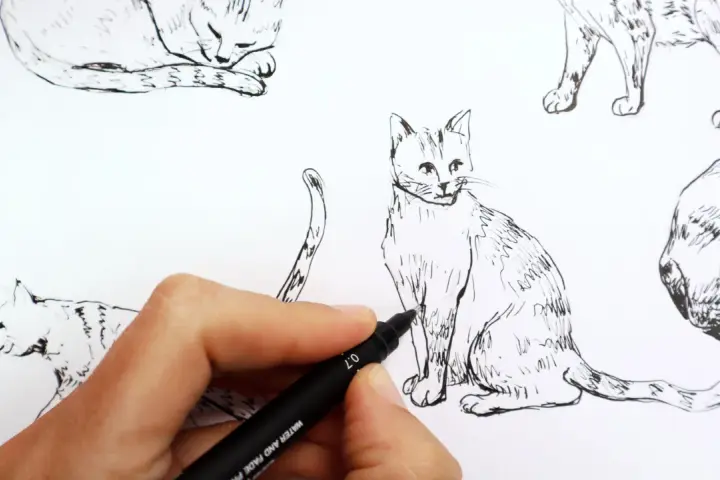 Main d'artiste en train de dessiner un chat réaliste au feutre noir. Plusieurs croquis de chats sont visibles.
