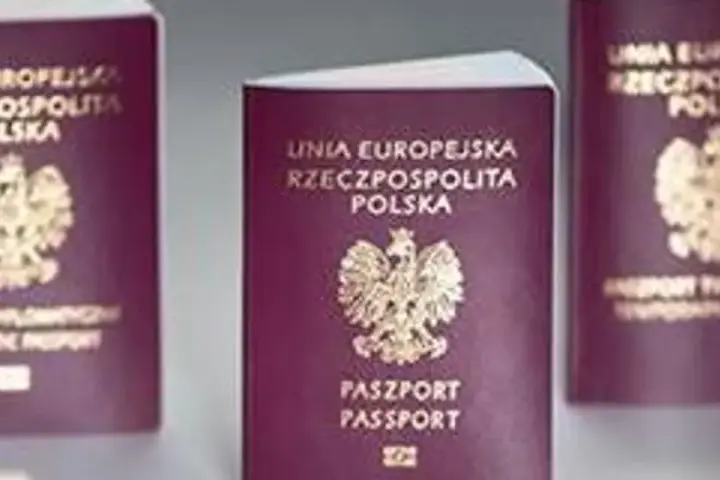 Trzy polskie paszporty w bordowych okładkach z godłem Polski.
