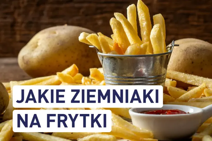 Najlepsze ziemniaki na frytki? Ranking odmian i sekret chrupkości