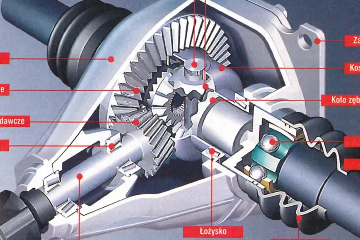 Przekrój mechanizmu dyfer, ukazujący koła zębate, łożyska i półosie.