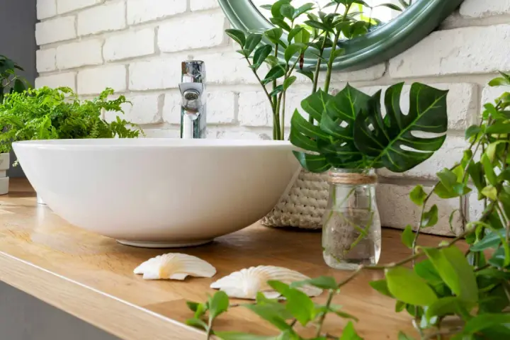 Une vasque blanche sur un plan de travail en bois, entourée de verdure. Une **plante de salle de bain** apporte une touche de fraîcheur à ce décor zen.
