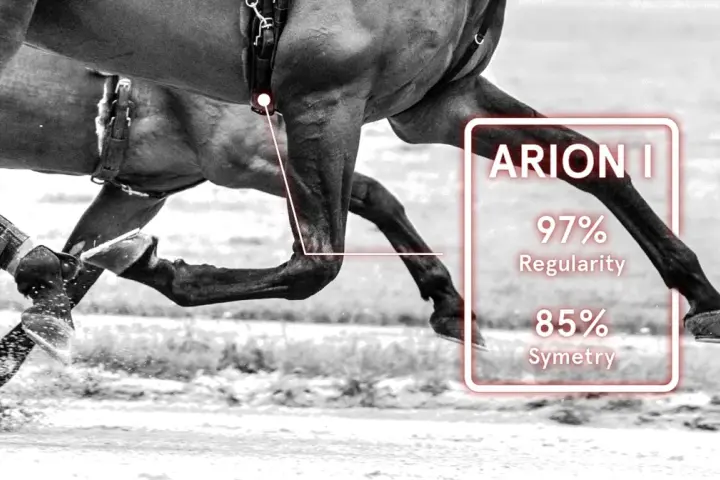 L'allure cheval est analysée : 97% de régularité et 85% de symétrie.