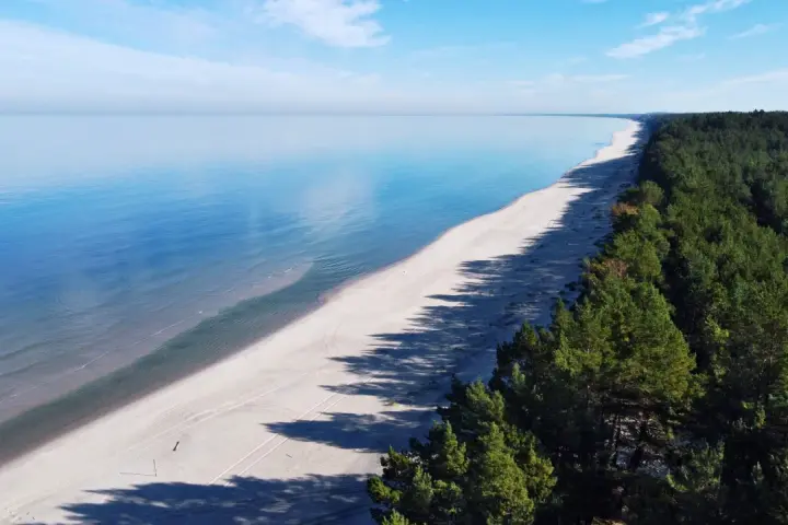 Spokojny zalew Wiślany o błękitnej tafli, piaszczysta plaża i gęsty las sosnowy tworzą malowniczy krajobraz.