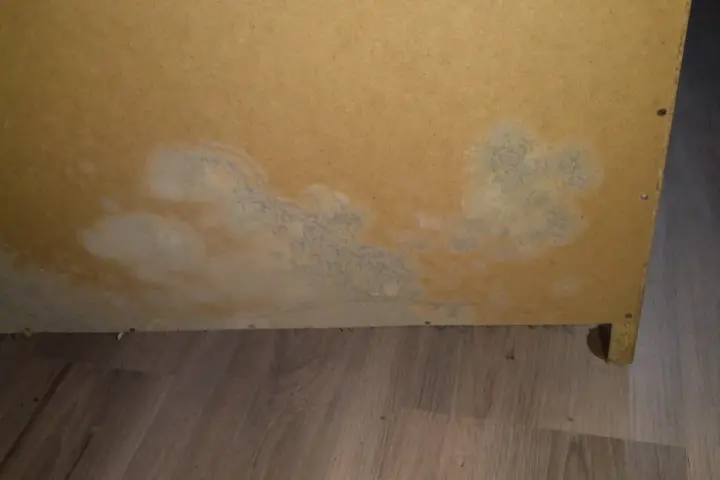 Plamy pleśni w szafie zabudowanej, rozprzestrzeniające się na płycie meblowej.