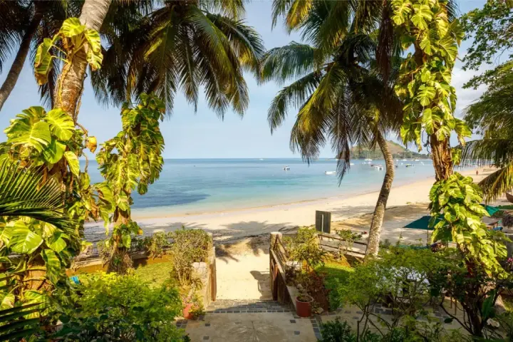 Rajska plaża na Madagaskarze, idealna na wakacje. Piękna pogoda roczna sprzyja relaksowi pod palmami.