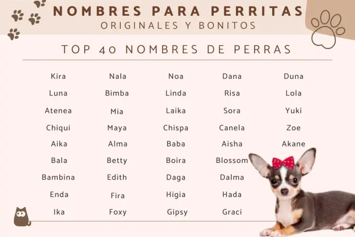 Lista imion dla suczki: Kira, Nala, Noa, Dana, Duna, Luna, Lola, Yuki, Zoe, Akane, Blossom, Dalma, Hada, Graci i wiele innych.