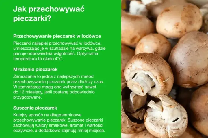Jak przechowywać pieczarki? W lodówce, przez mrożenie lub suszenie. Świeże pieczarki najlepiej trzymać w szufladzie na warzywa.