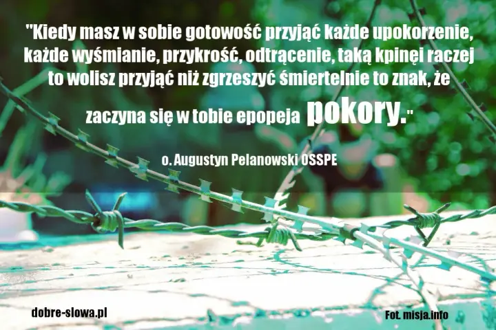 Mądre cytaty Polaków: o. Augustyn Pelanowski o pokorze. Kolczasty drut na tle zieleni.
