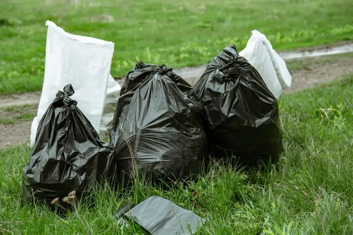 Workmen's bags of garden waste sit on grass. Czy można wywieźć gałęzie do lasu? To pytanie zadaje sobie wielu.