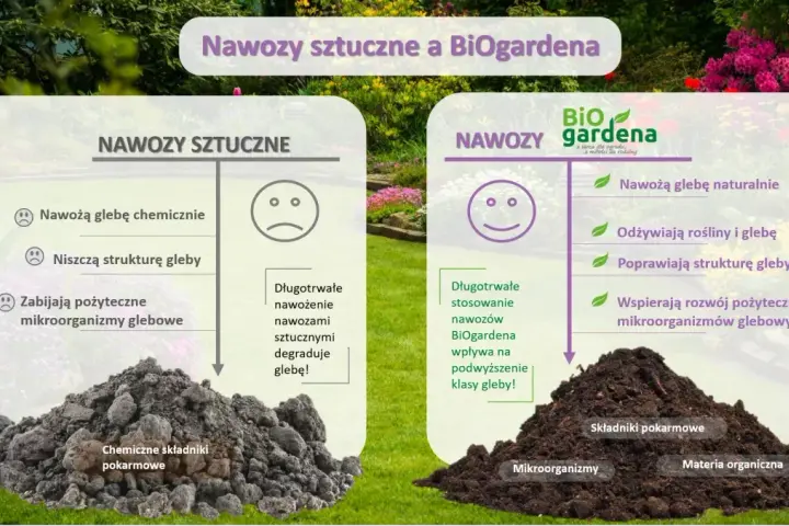 Jaki nawóz sztuczny pod warzywa? Sprawdź, jak uniknąć błędów w nawożeniu