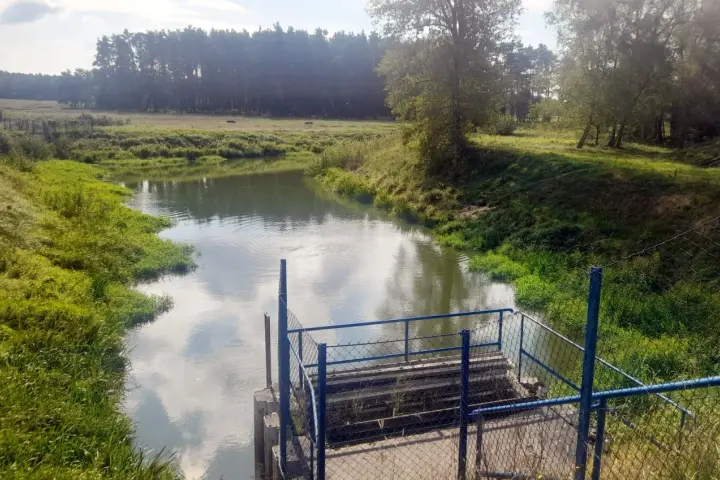 Spokojna rzeka otoczona zielenią, z widocznym pomostem i ogrodzeniem. Piękne zdjecia w wodzie odbijające niebo.