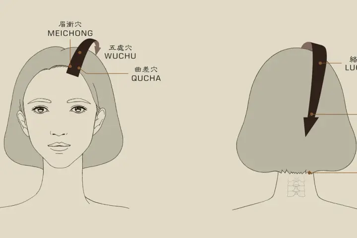 A diagram showing points on the head and neck for acupressure. Learn how to massage your head for relaxation.