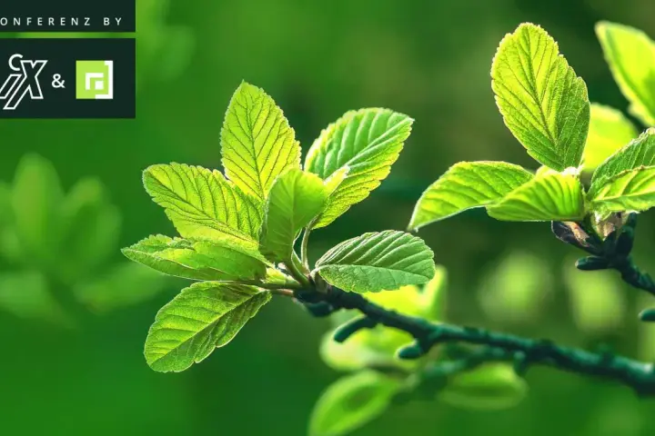 Frische grüne Blätter im Sonnenlicht, symbolisch für das Erwachen im Frühling. Konferenz by CX&.
