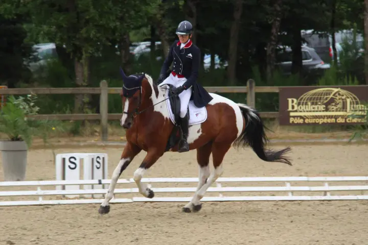 Cavalier en tenue d'équitation effectuant une incurvation parfaite avec son cheval pie.