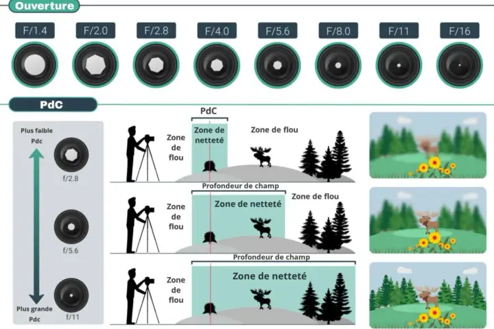 Illustration expliquant le tableau de la profondeur de champ (PdC) et l'effet de l'ouverture sur la mise au point.