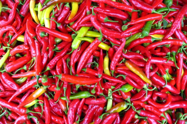 En stor hög med röda, gula och gröna chili. Dessa chili sorter är redo att användas i matlagning.