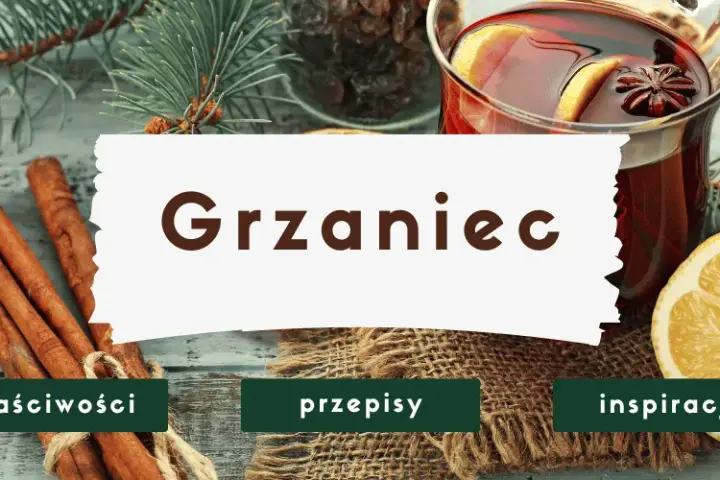 Grzaniec: Jak zrobić idealny napój rozgrzewający? Przepisy