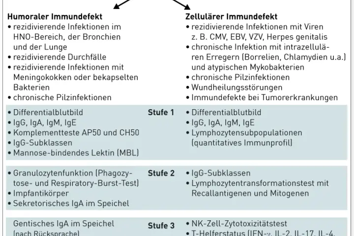 Die wichtige Rolle der Immundefekt Diagnostik im Gesundheitswesen