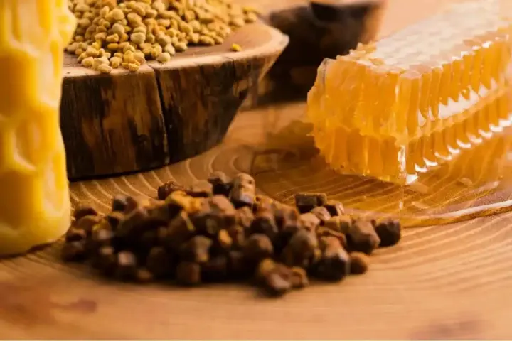 Propolis, pollen, et rayon de miel sur fond de bois. Découvrez les nombreux propolis bienfaits pour la santé.