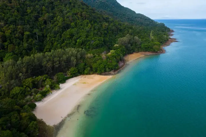 Zielona, gęsta dżungla schodzi do piaszczystej plaży na wyspie Langkawi. Turkusowe morze delikatnie faluje przy brzegu.