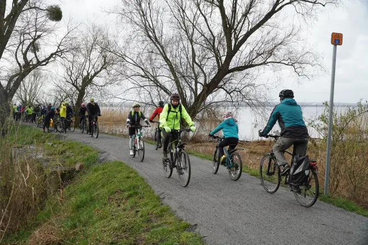Grupa rowerzystów przemierza malownicze ścieżki rowerowe Szczecina, ciesząc się aktywnym wypoczynkiem nad wodą.