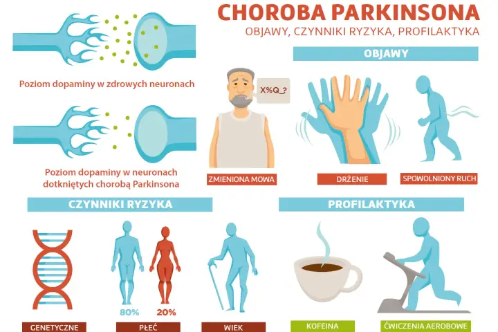 Ilustracja pokazuje objawy choroby Parkinsona: drżenie, spowolniony ruch, zmienioną mowę. Wskazuje też czynniki ryzyka (genetyka, płeć, wiek) i profilaktykę (kawa, ćwiczenia).