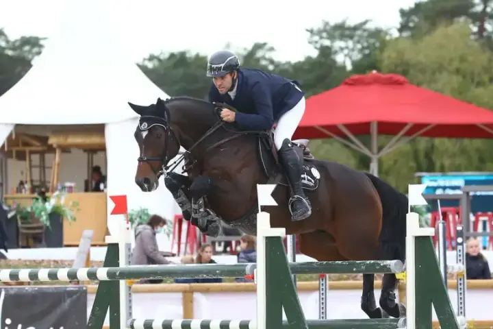 Cavalier et cheval sautant un obstacle lors des jeux équestres mondiaux.