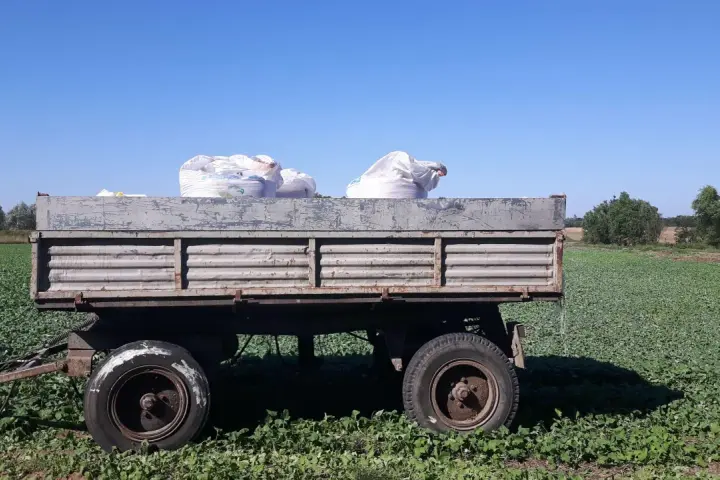 Ile nawozów mineralnych na hektar? Sprawdź, jak zmniejszyć koszty.