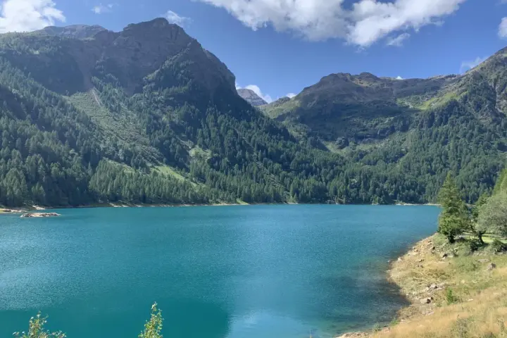 Il lago di Pian Palù, con le sue acque turchesi, è incastonato tra montagne ricoperte di fitti boschi di conifere.