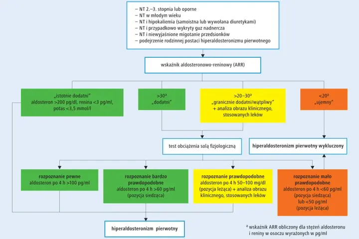 Schemat diagnostyczny hiperaldosteronizmu pierwotnego z podziałem na wyniki badań.