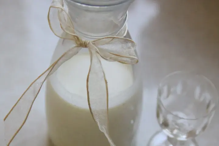 Biały płyn w karafce ozdobionej wstążką, obok pusty kieliszek. Idealne do przygotowania drinków, np. jak zrobic Malibu.