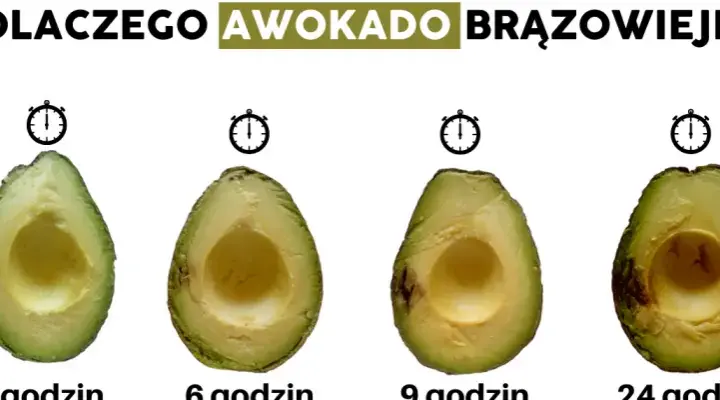 Awokado w lodówce? Kiedy tak, a kiedy nie! Sekret świeżości