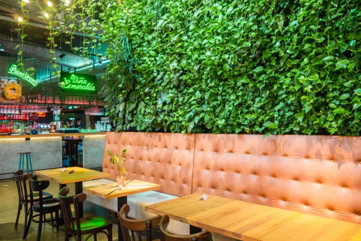 Wnętrze restauracji z zieloną ścianą i wygodnymi lożami. Idealne miejsce na odkrycie najlepszych restauracji w Krakowie - Ranking top 6.