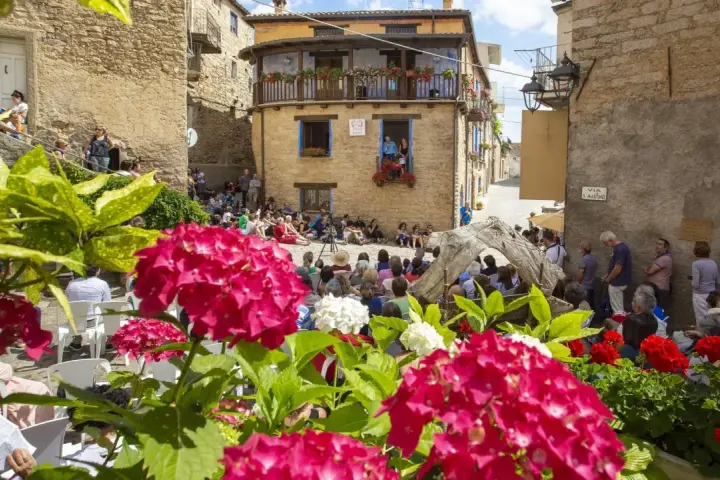 Fiori rosa e bianchi incorniciano una piazza con gente seduta, in attesa di uno spettacolo. Un evento da non perdere, ecco **gavoi cosa vedere**!
