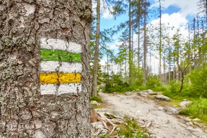 Jaki szlak jest najtrudniejszy? Odkryj wyzwania Orlej Perci