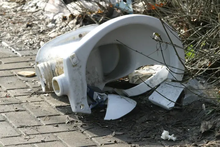 Złamana biała ceramika sedesu leży na chodniku i ziemi, otoczona gałęziami i śmieciami.