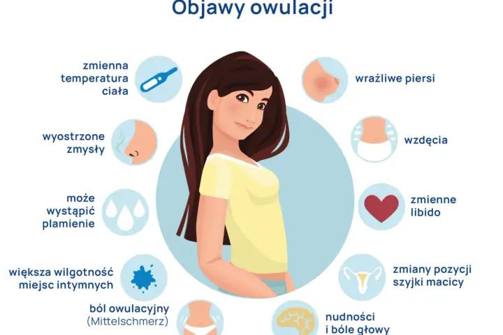 Objawy owulacji: zmienna temperatura, wyostrzone zmysły, plamienie, wilgotność, ból, wzdęcia, libido, nudności, bóle głowy, wrażliwe piersi, zmiany szyjki macicy.