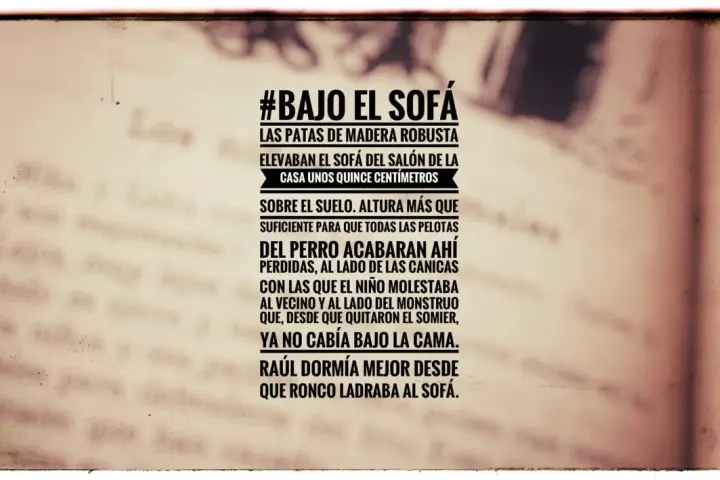 Texto de un microrrelato sobre un sofá y un perro, con un estilo vintage.