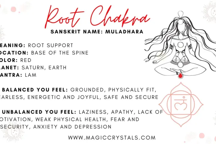 Chakra Raíz (Muladhara), su significado es soporte vital. Si está equilibrado, te sientes seguro. Si está desequilibrado, experimentas inseguridad.